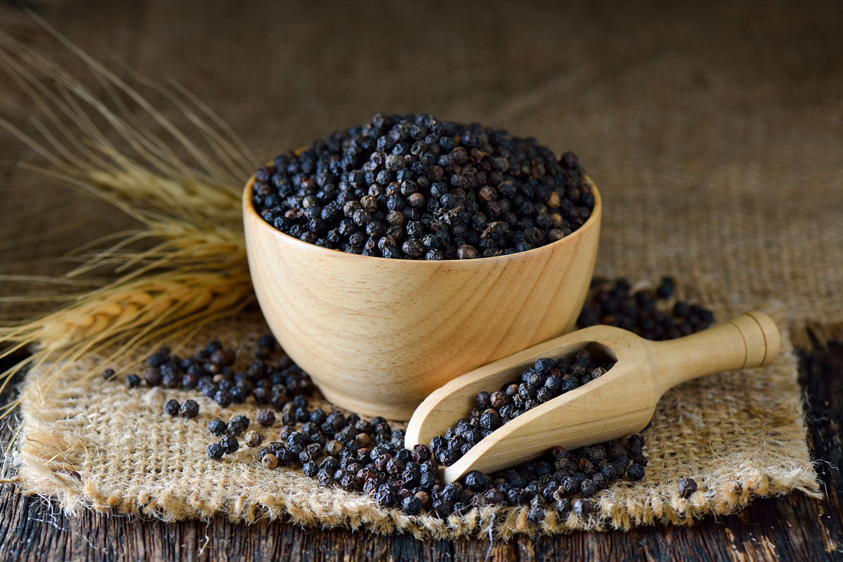 black-pepper-banner_1 black-pepper-banner_1